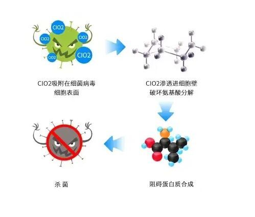過(guò)氧化物類消毒劑消毒原理